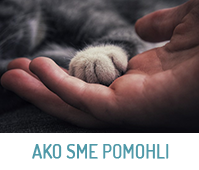 ako sme pomohli