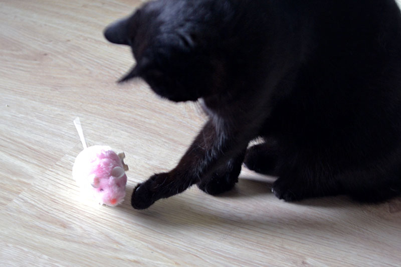 mys marshmallow