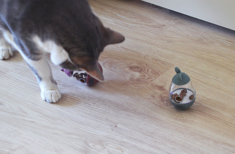snack mouse trixie 