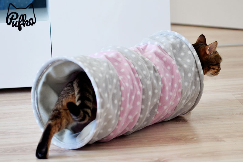 tunel pre mačky