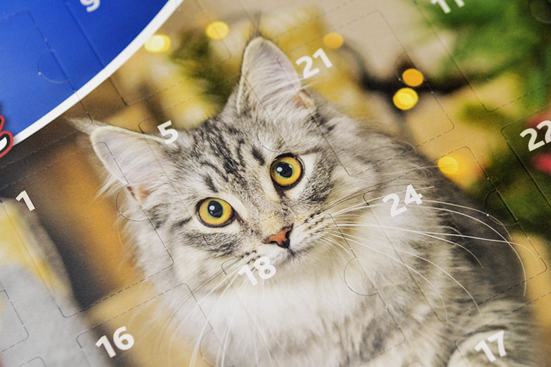 adventny kalendar pre macky