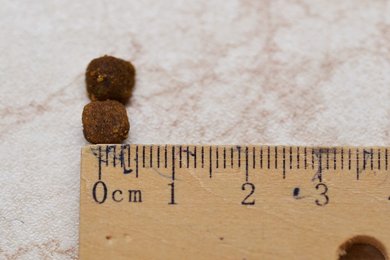 rozmer granule pre maciatka