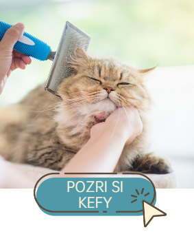 pozri si kefy