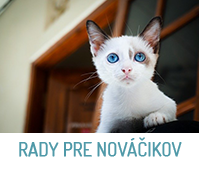 rady pre nováčikov