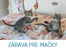 zábava pre mačky