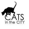 cats in the city