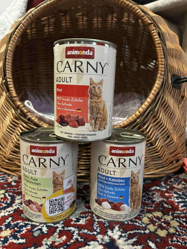 druha sanca bardejov