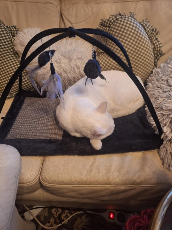 multifunkcne ihrisko