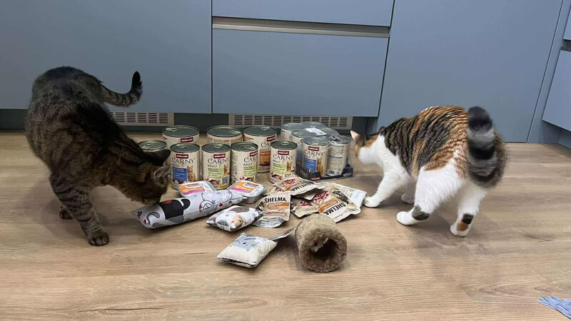 nadielka od vas pre piestanske macicky