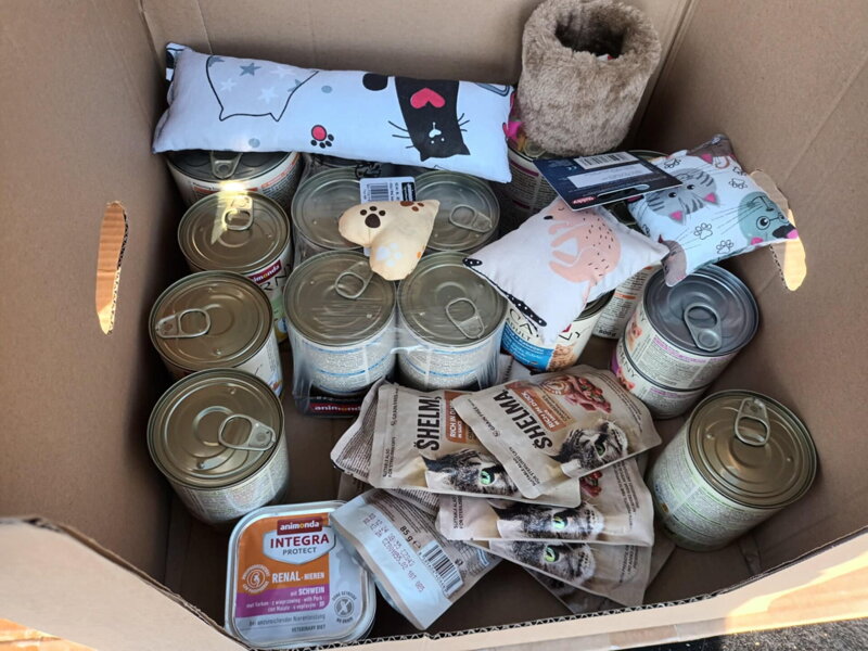 skatula pre oz macky piestany