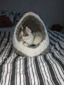 Kukaňa plyšová - KALINE sivohnedá 41cm, Trixie