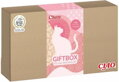 Churu Ciao Gift Box 13 x + lyžica + hračka, Inaba