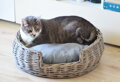 Okrúhly prútený pelech pre veľké mačky Provence 50 x 50 x 17cm sivá, Tommi