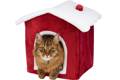 Vianočný domček pre mačky NEVIO červený 35 x 45 x 38 cm, Trixie