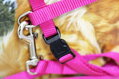Postroj pre veľké mačky ružový 34-57 cm/13mm/1,20 m, Trixie