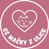 MAČKY Z ULICE