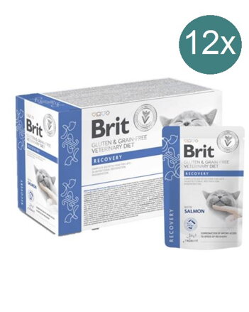 Kapsička Veterinary Diét filetky losos  85g x 12, Brit