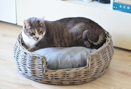 Okrúhly prútený pelech pre veľké mačky Provence 50 x 50 x 17cm sivá, Tommi