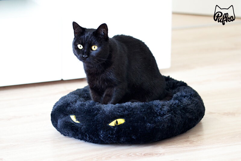 Čierny pelech Cat in black 50 × 40 × 9 cm, Tommi