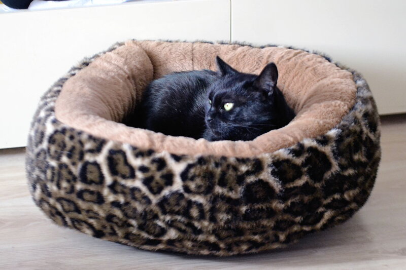 Luxusný plyšový pelech pre mačky LEO soft 50cm hnedá/leopard, Trixie