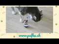 Cat Activity: Snack Mouse - myška na pamlsky zelená 9cm, Trixie